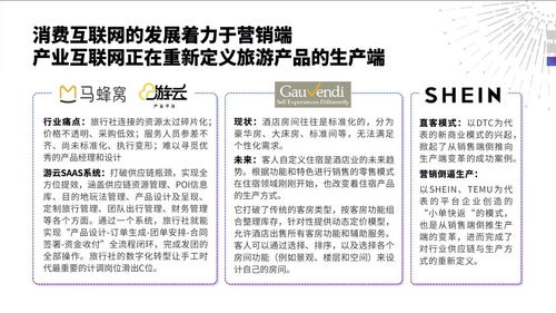 產業互聯網重塑旅行服務業 中國旅游研究院發布發展報告